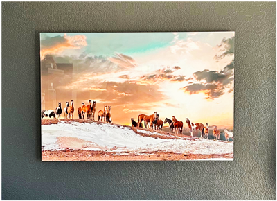 Metal Prints