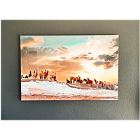 Metal Prints